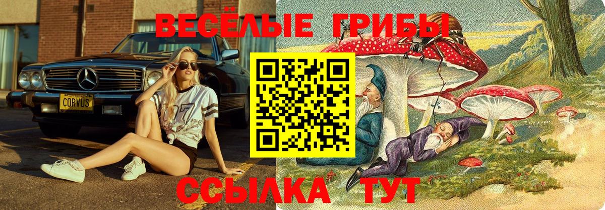 Сызрань  купить закладку  Вход с VPN  Псилоцибиновые грибы MAGIC MUSHROOMS 